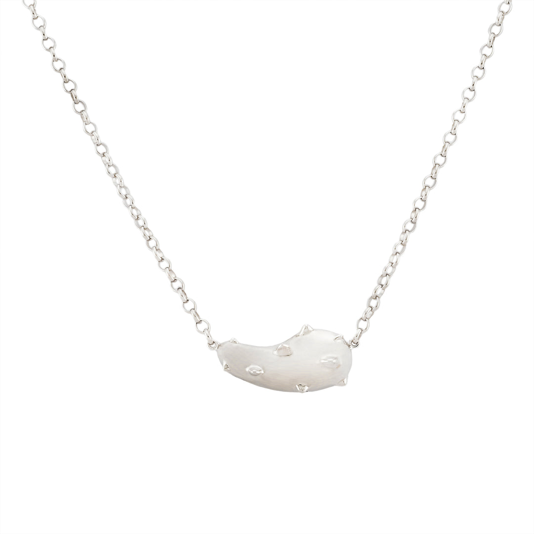 COLAR AGAVE PRATA COM BANHO DE RÓDIO