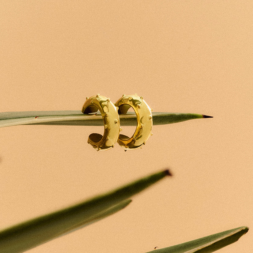 ARGOLA AGAVE PRATA COM BANHO DE OURO AMARELO