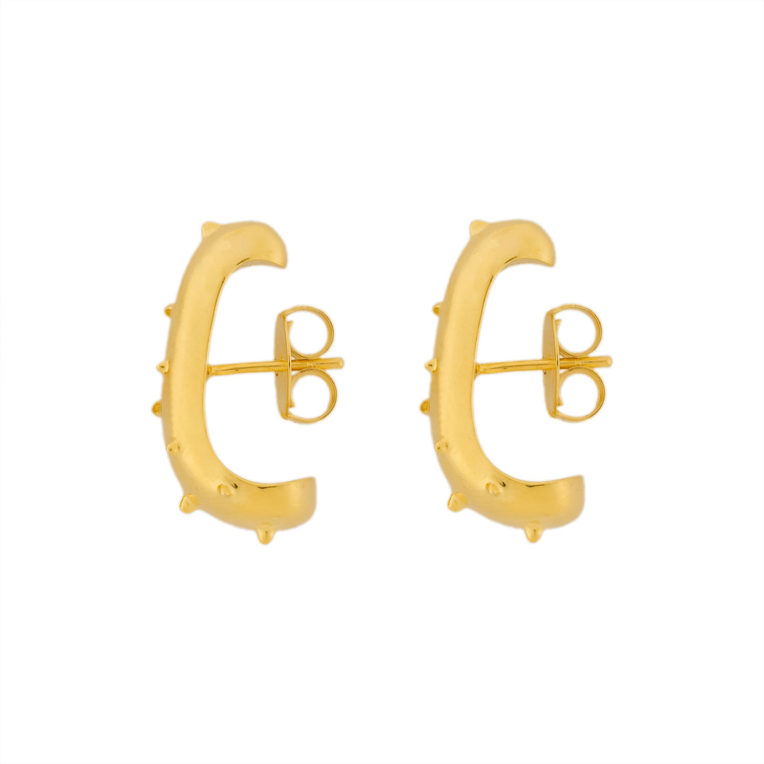 BRINCO EARHOOK AGAVE PRATA COM BANHO DE OURO AMARELO