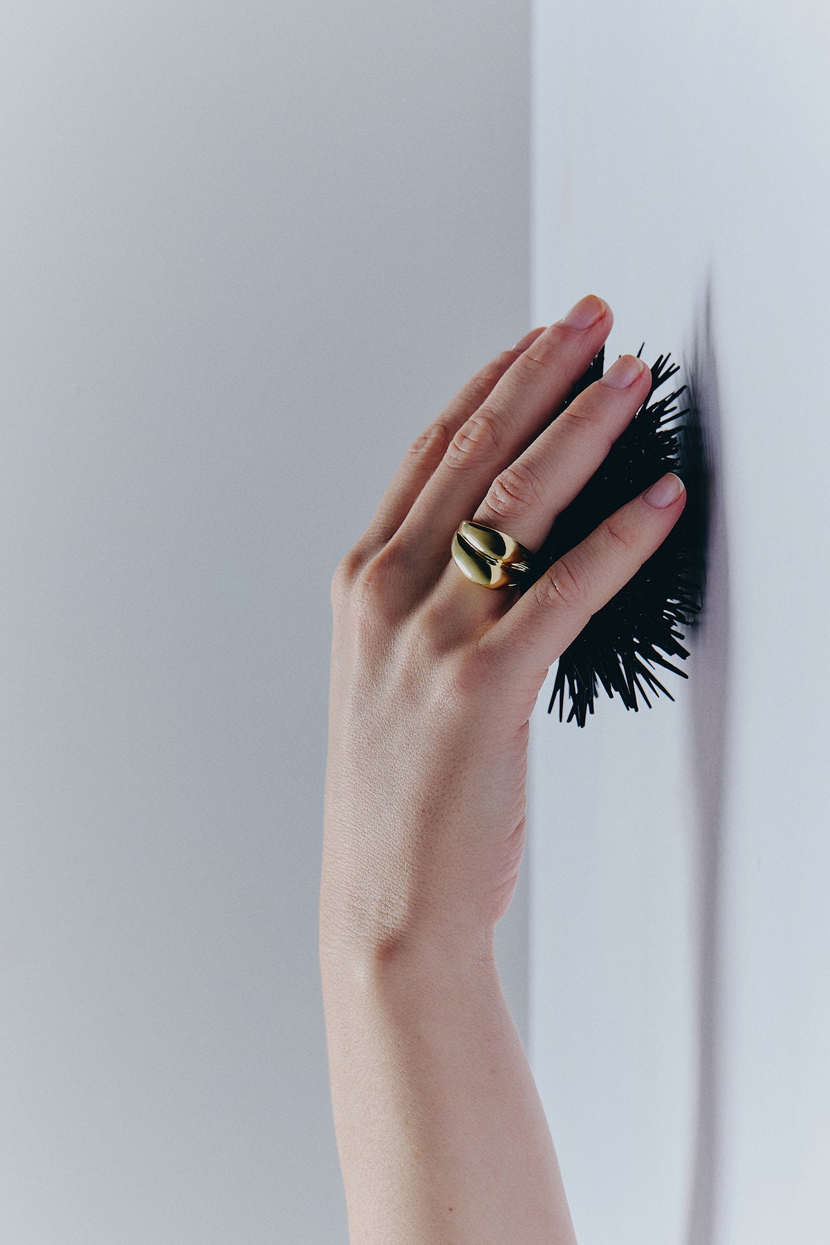 7f6694a7c71fbe403faec3d224639e2f_8fea25a2 f0df 4933 bad9 955cc89165ce