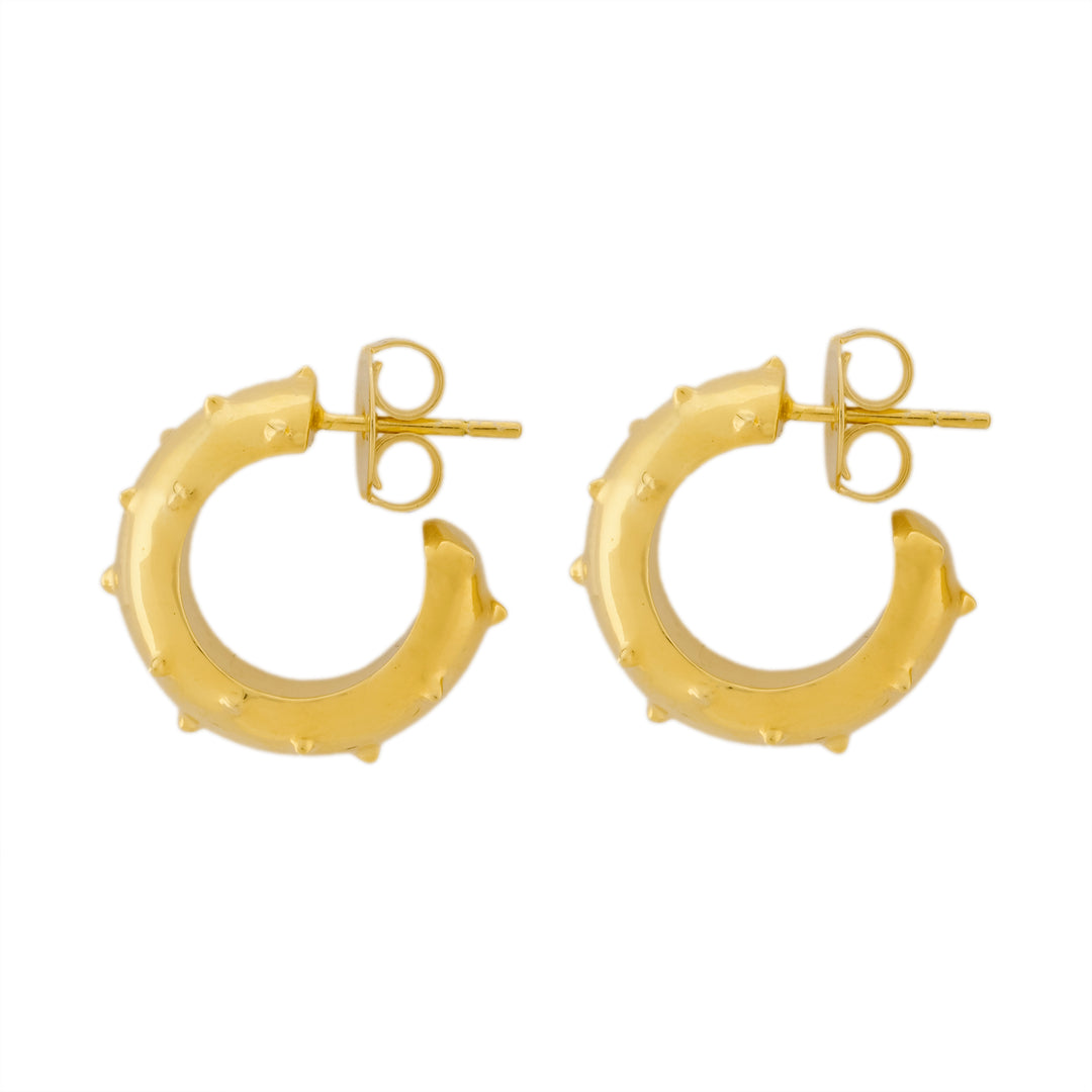 ARGOLA AGAVE PRATA COM BANHO DE OURO AMARELO