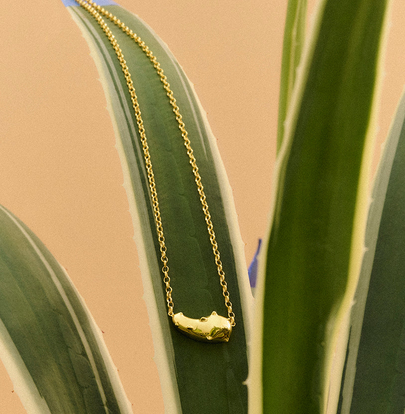 Colar agave prata com banho de ouro amarelo