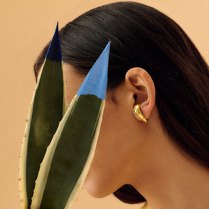 BRINCO EARHOOK AGAVE PRATA COM BANHO DE OURO AMARELO
